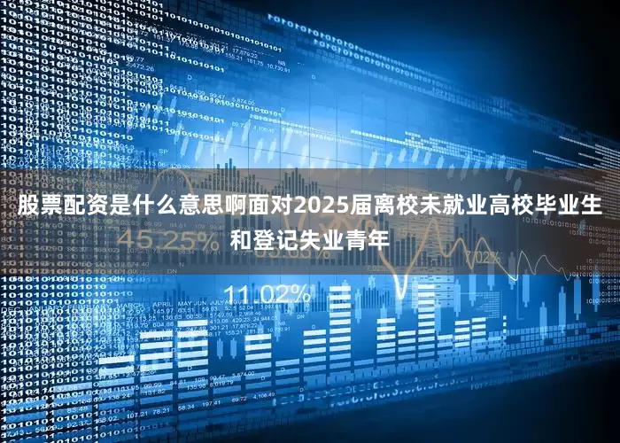 股票配资是什么意思啊面对2025届离校未就业高校毕业生和登记失业青年