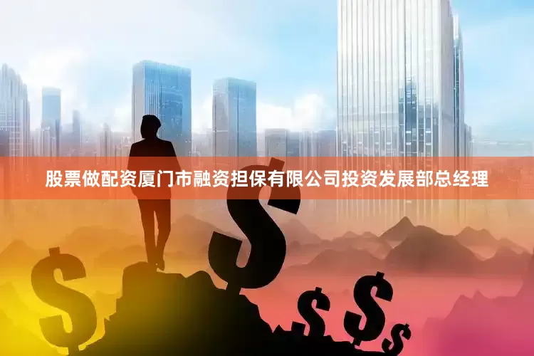 股票做配资厦门市融资担保有限公司投资发展部总经理