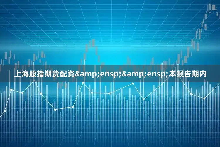 上海股指期货配资  本报告期内