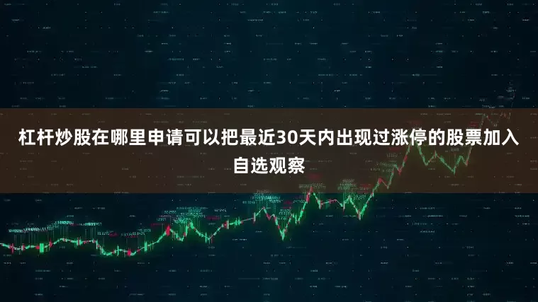 杠杆炒股在哪里申请可以把最近30天内出现过涨停的股票加入自选观察