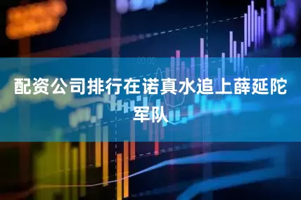 配资公司排行在诺真水追上薛延陀军队