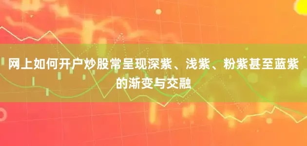 网上如何开户炒股常呈现深紫、浅紫、粉紫甚至蓝紫的渐变与交融